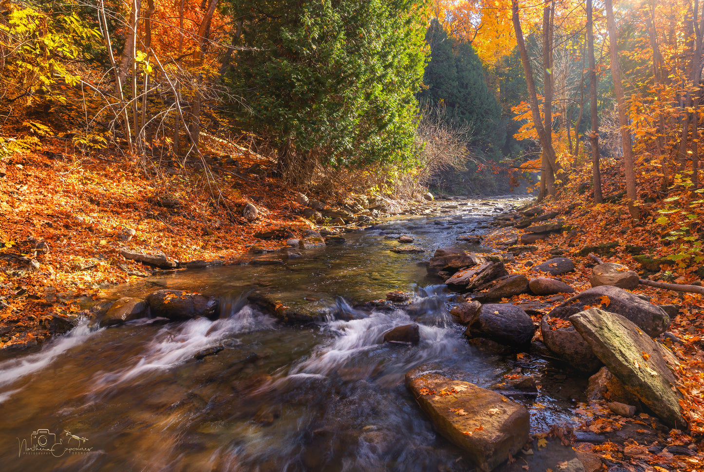 Canvas - Bridal Veil Falls 14 (Manitoulin)