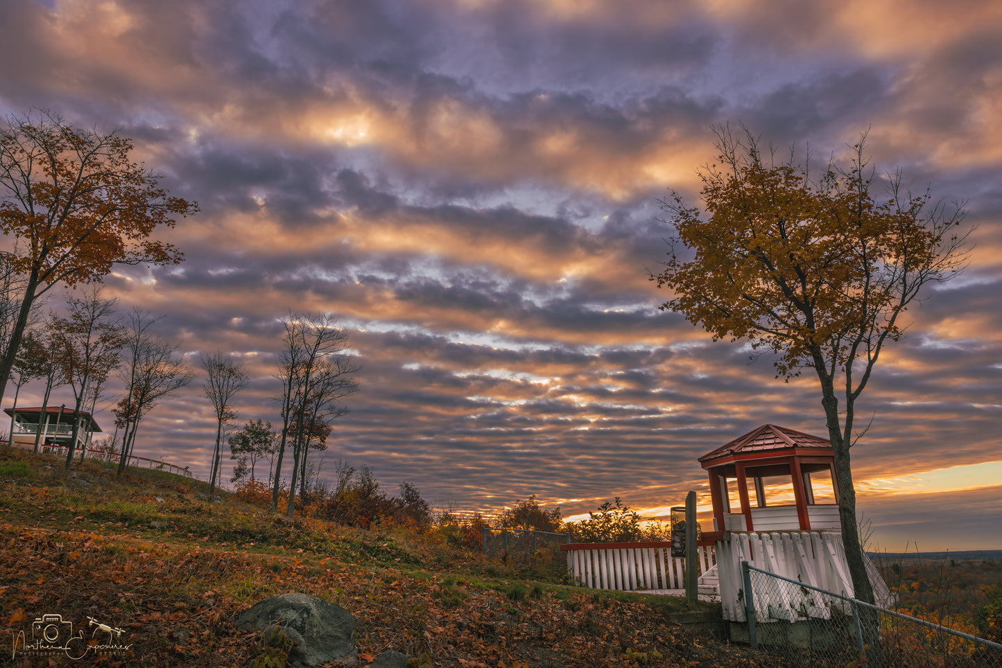 Canvas - Fire Tower Zebra Skies 4