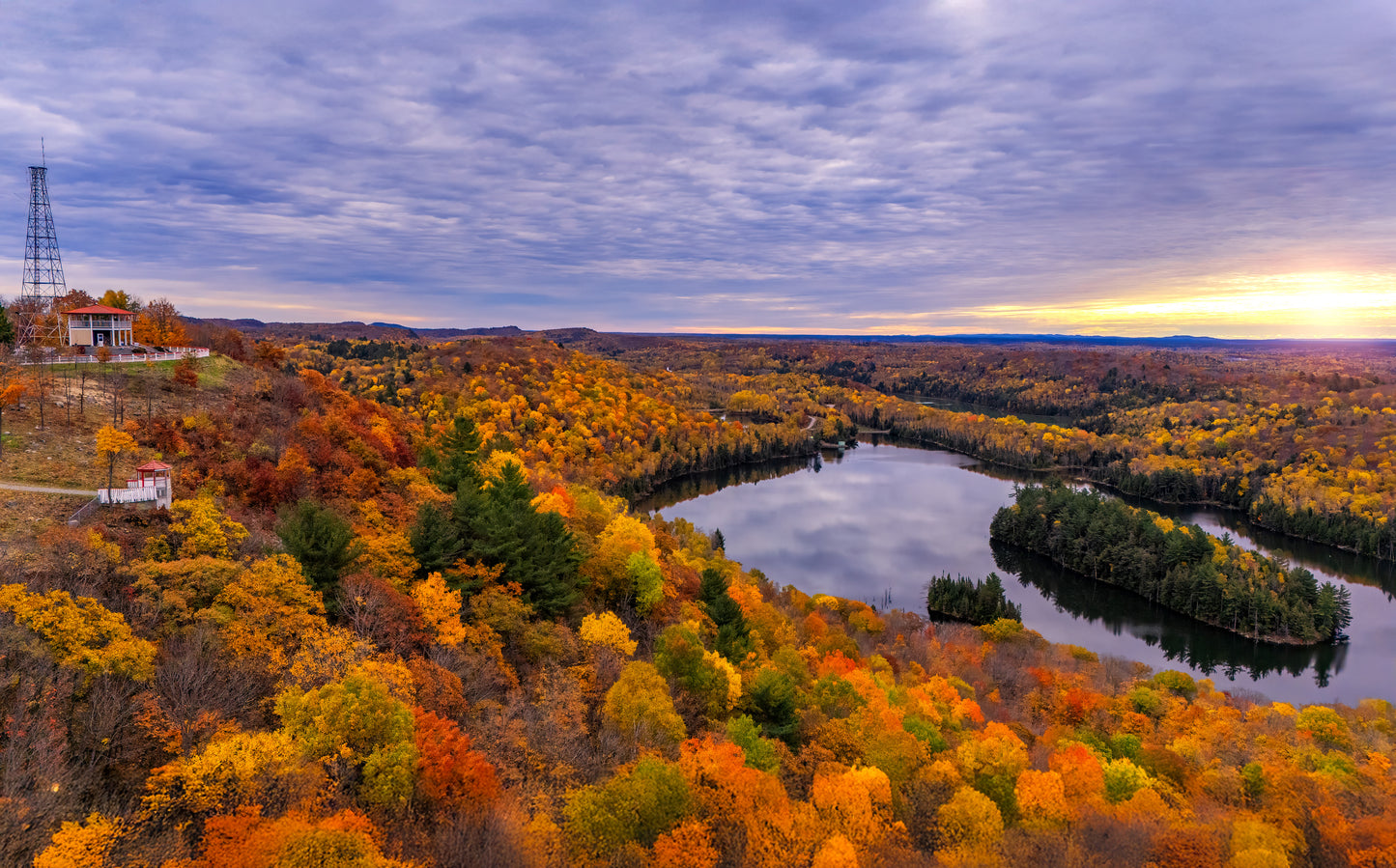 Canvas - Fire Tower Lookout: Sea of Yellow