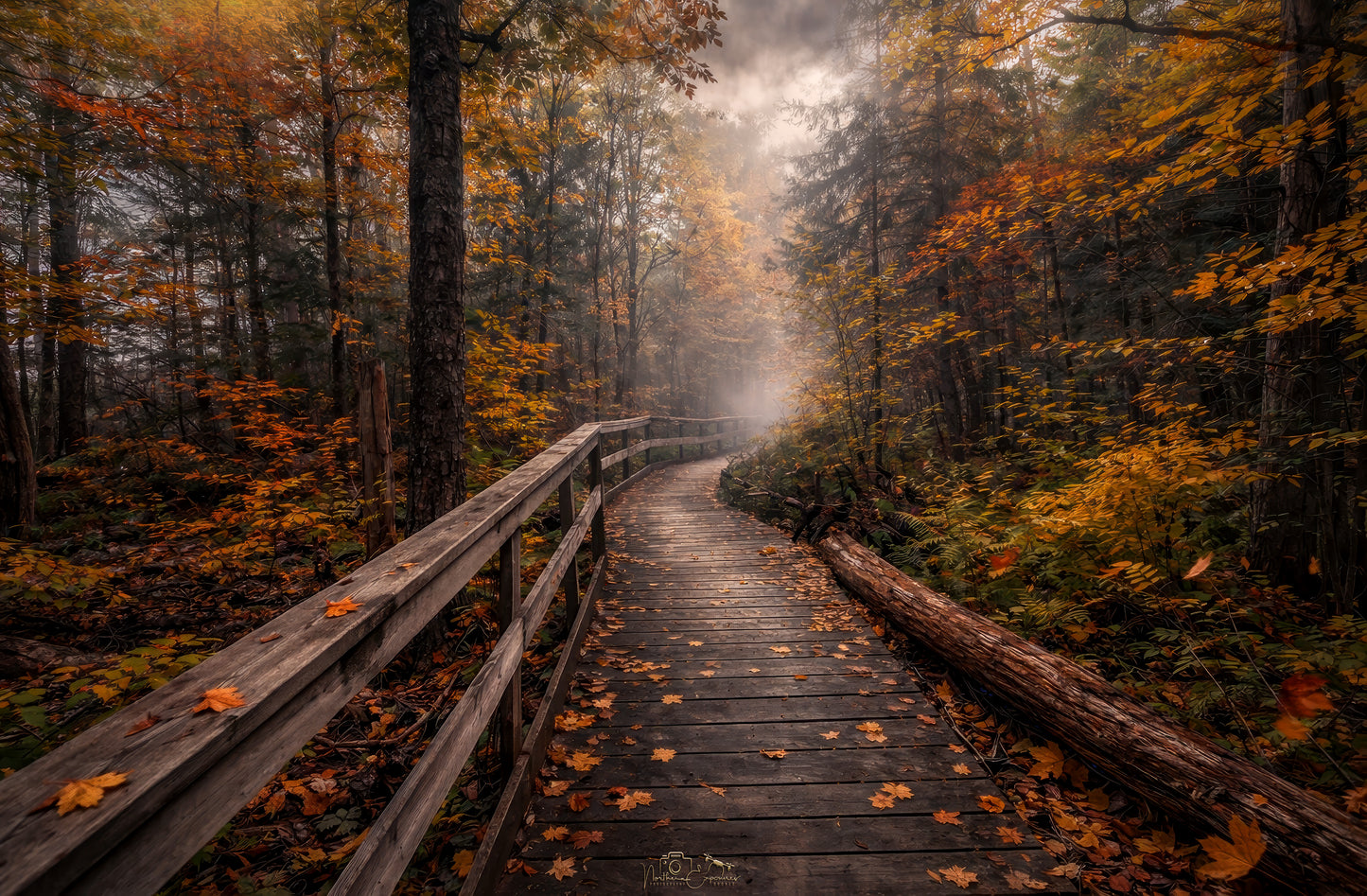 Canvas - Sheriff's Creek Moody Autumn (Remastered)