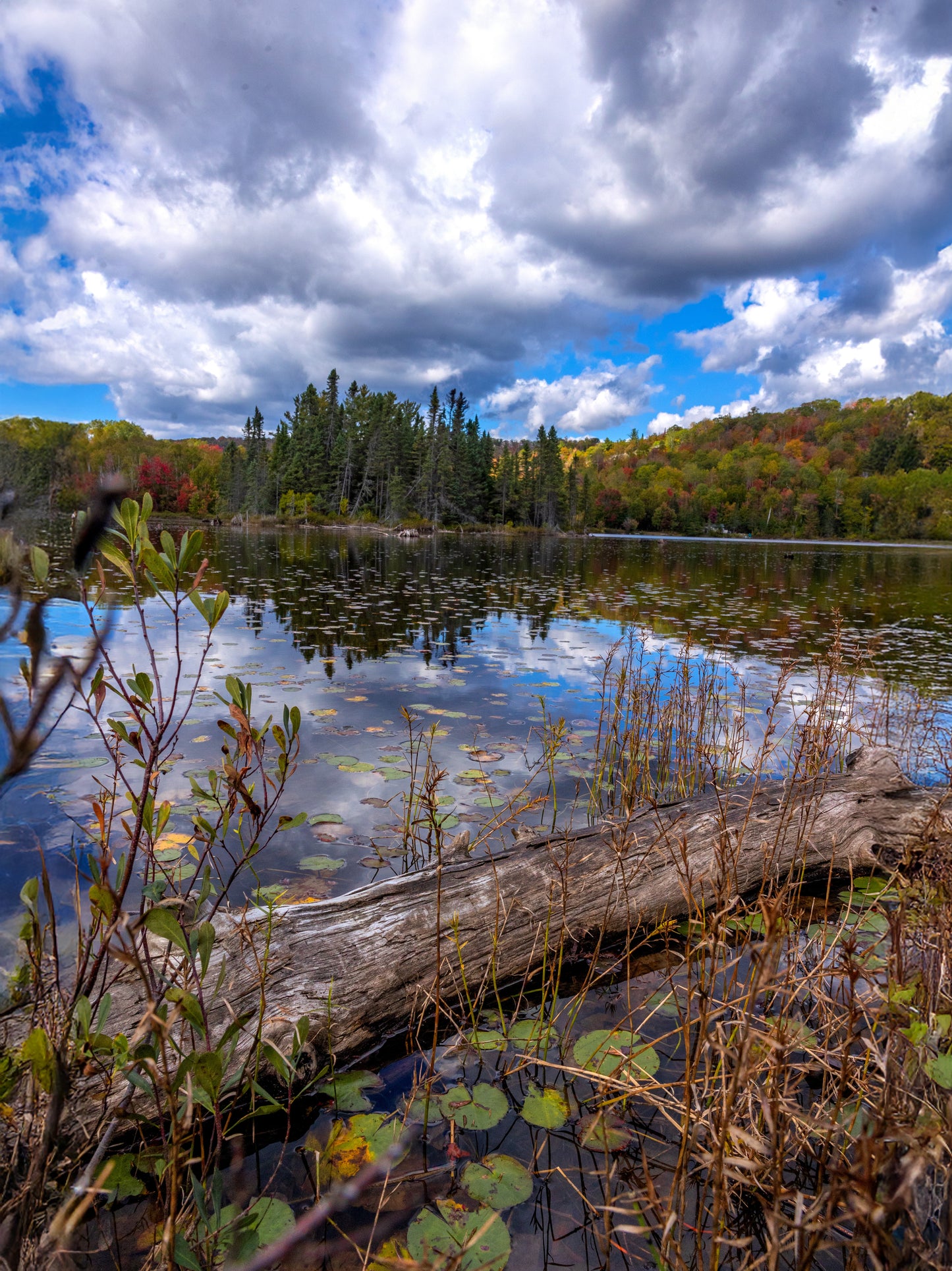 Canvas - Stinson Lake Cloudy
