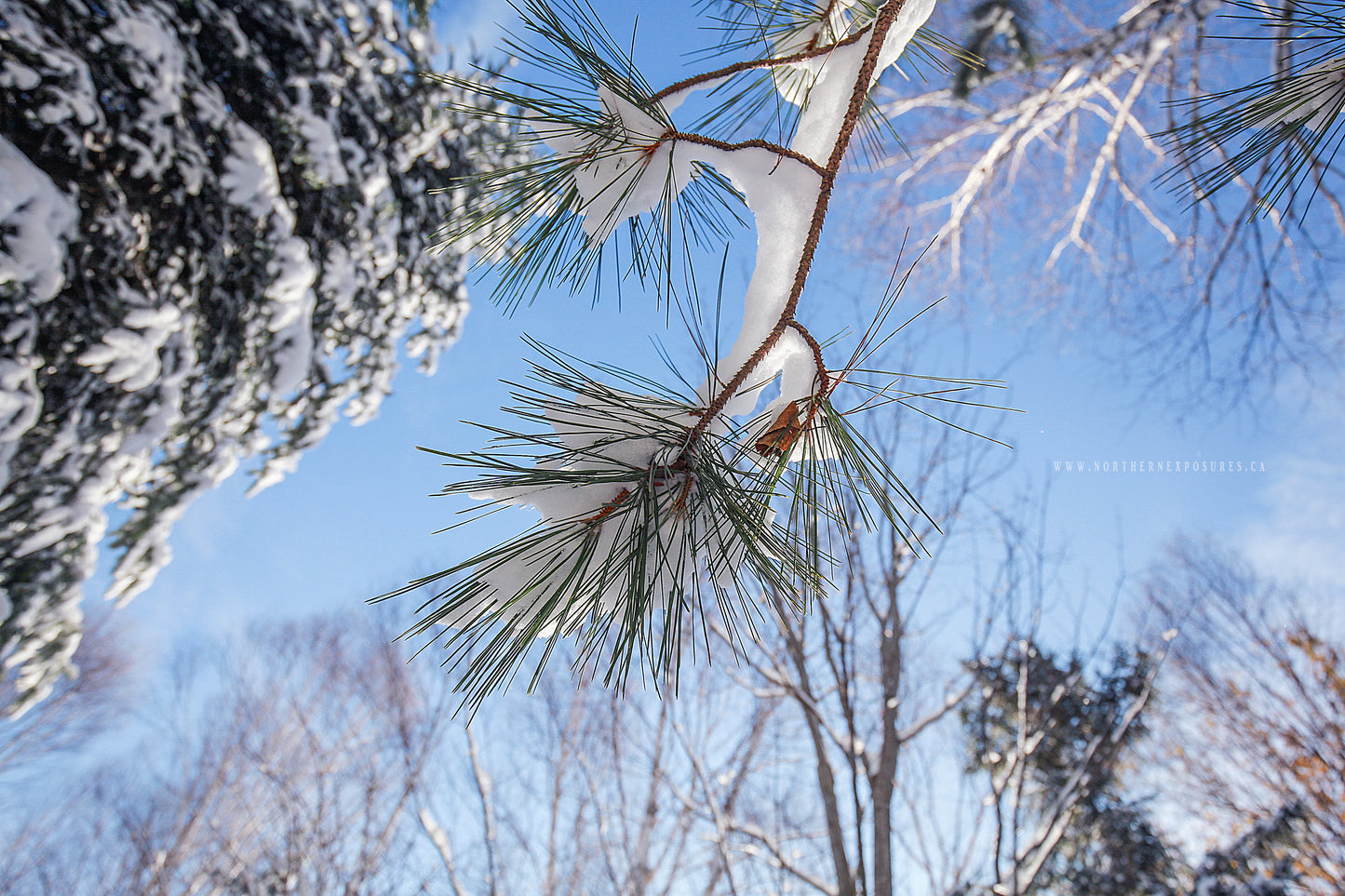 Canvas - The Winter Wonderland Sheriff's Creek 14