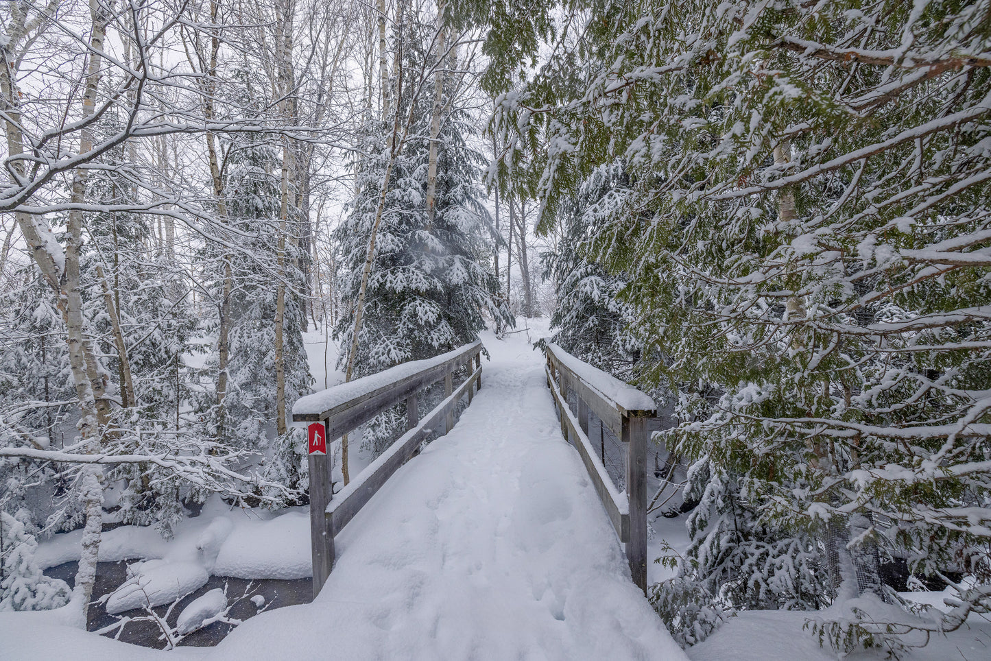 Canvas - The Winter Wonderland Sheriff's Creek 21