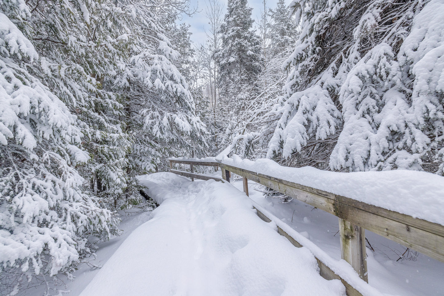 Canvas - The Winter Wonderland Sheriff's Creek 26