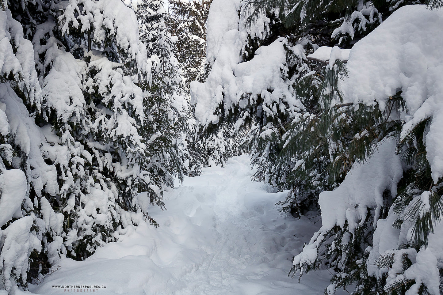 Canvas - The Winter Wonderland Sheriff's Creek 3