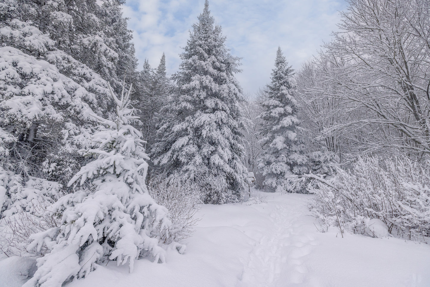 Canvas - The Winter Wonderland Sheriff's Creek 31