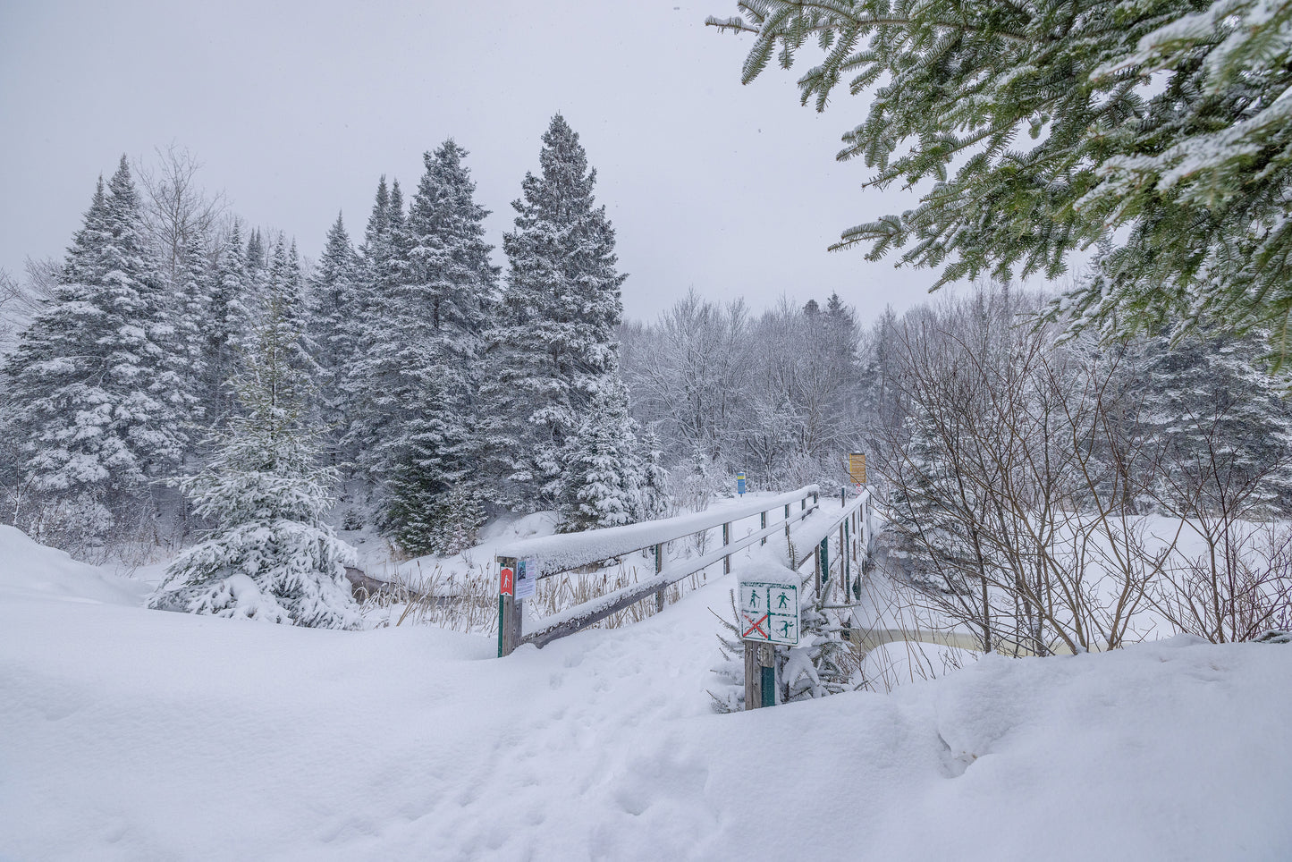 Canvas - The Winter Wonderland Sheriff's Creek 33