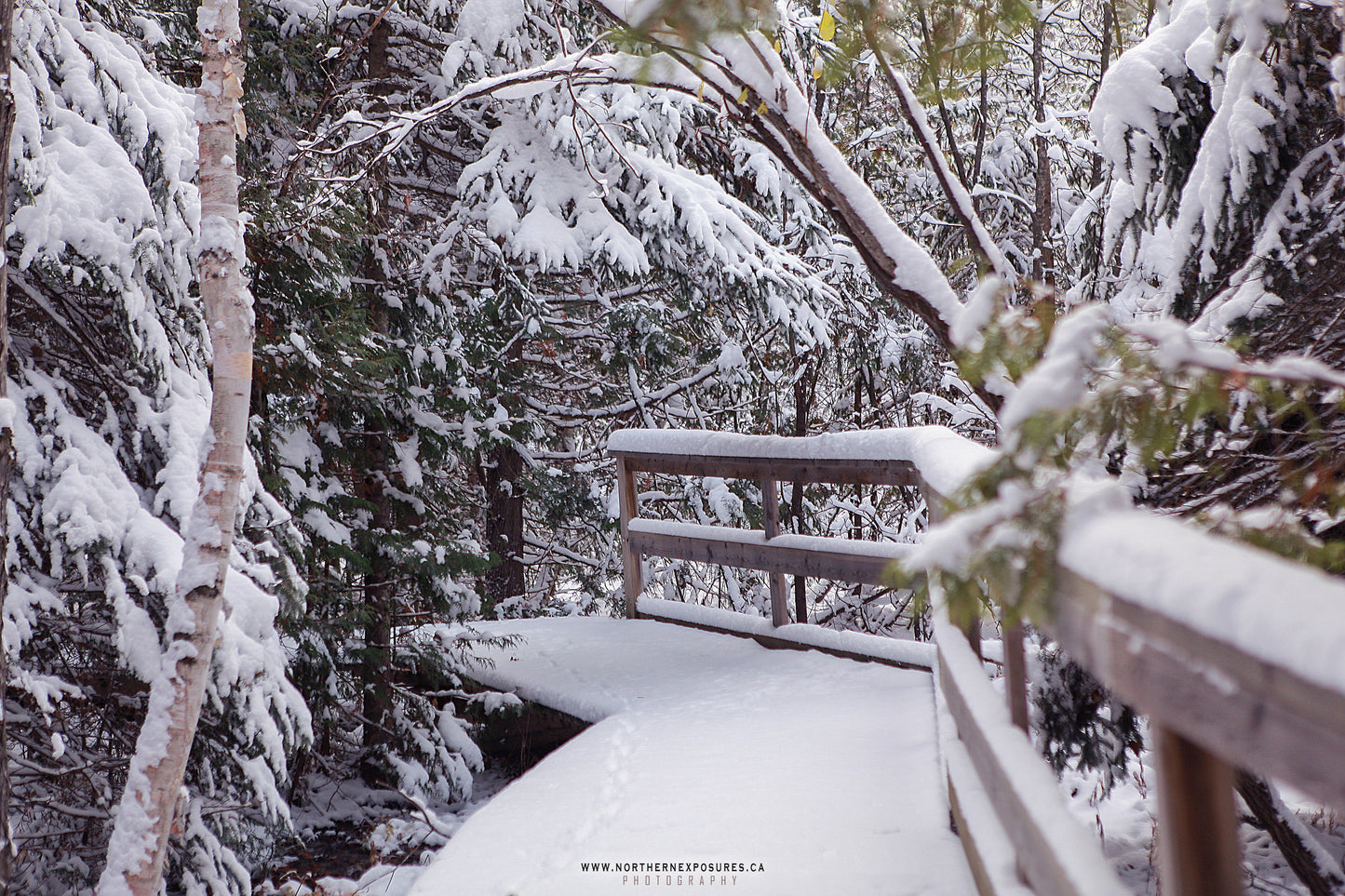 Canvas - The Winter Wonderland Sheriff's Creek 34