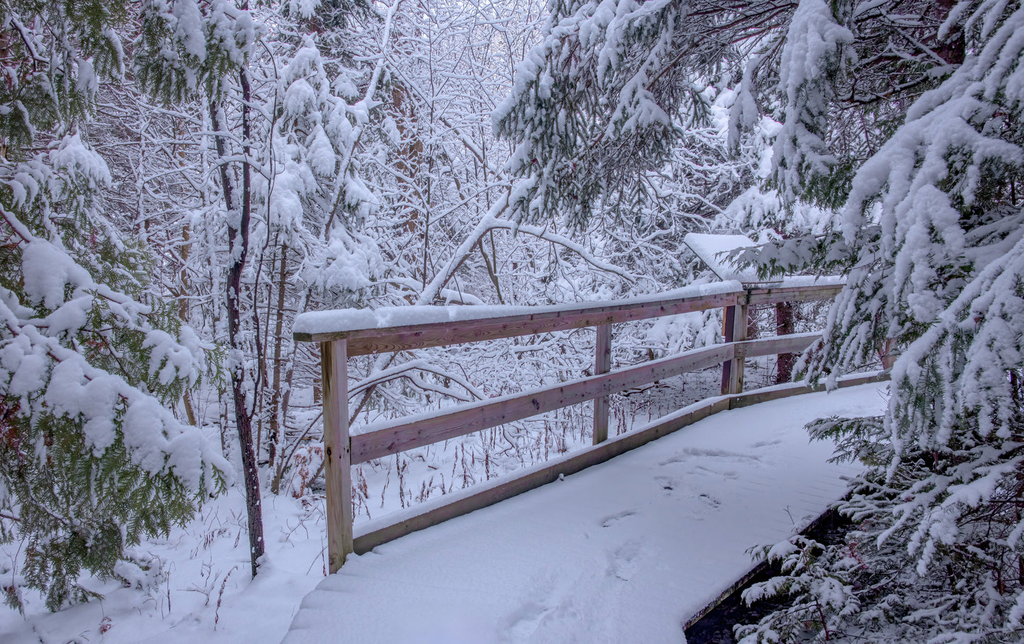 Canvas - The Winter Wonderland Sheriff's Creek 39