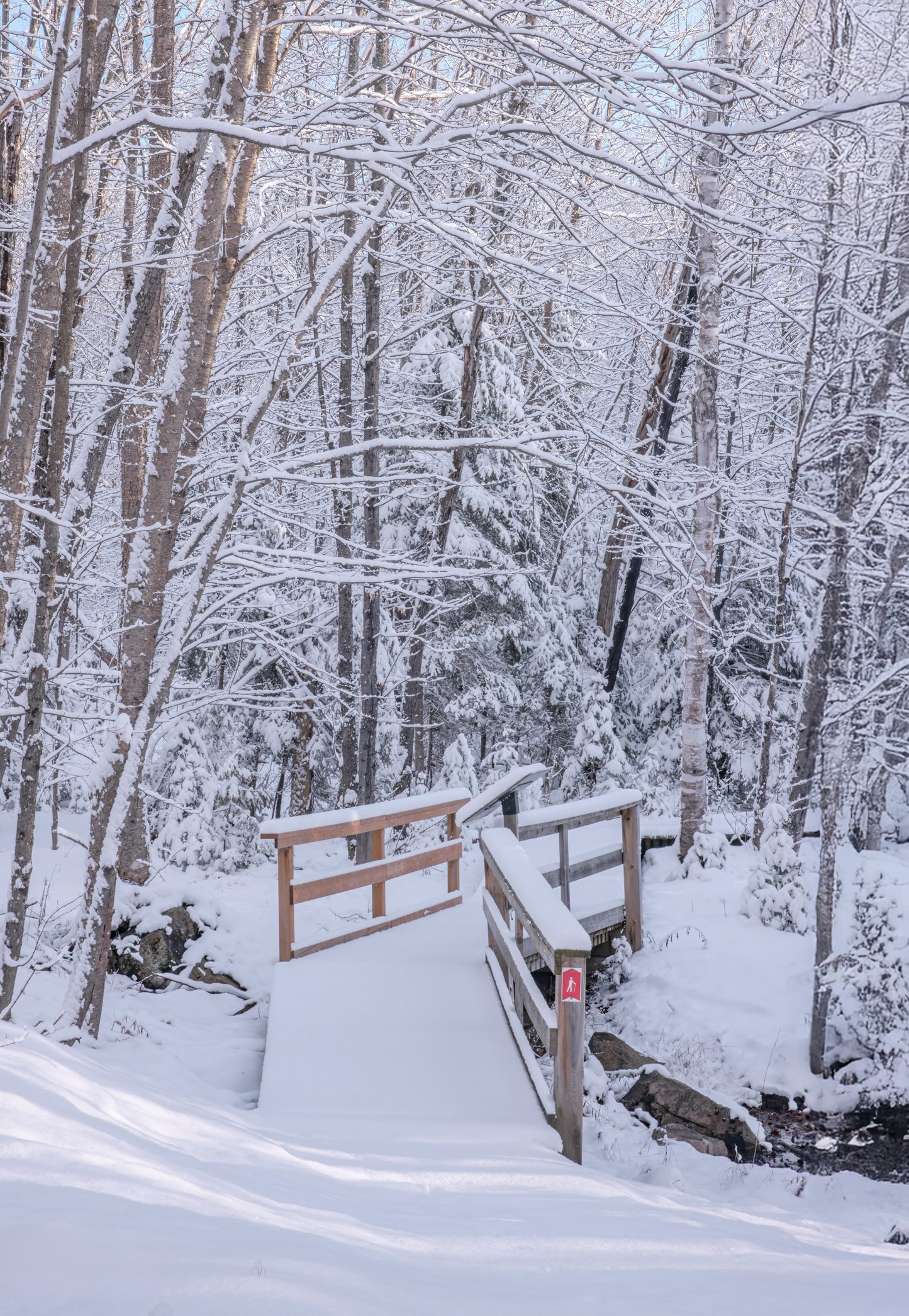 Canvas - The Winter Wonderland Sheriff's Creek 43