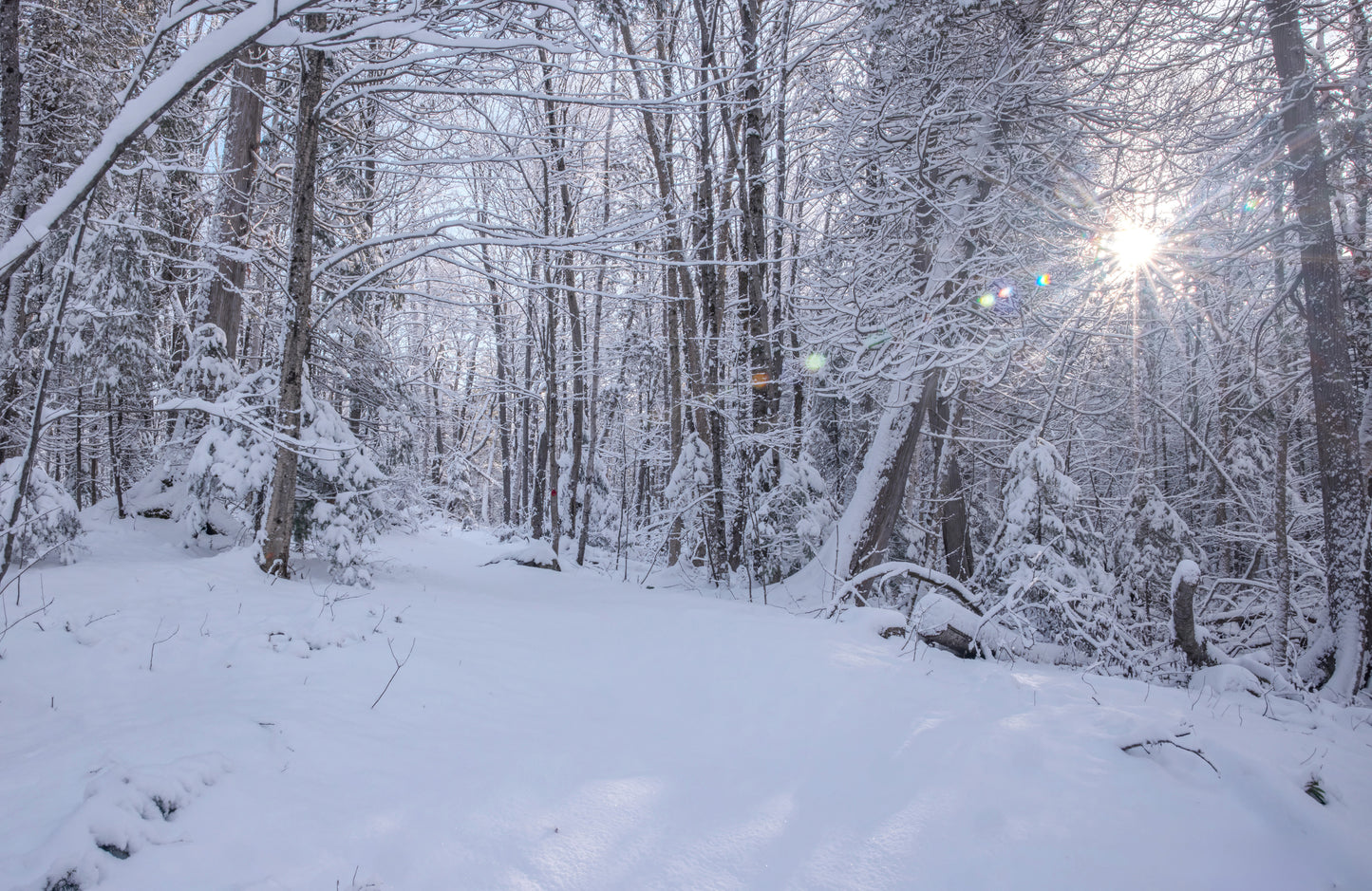 Canvas - The Winter Wonderland Sheriff's Creek 44