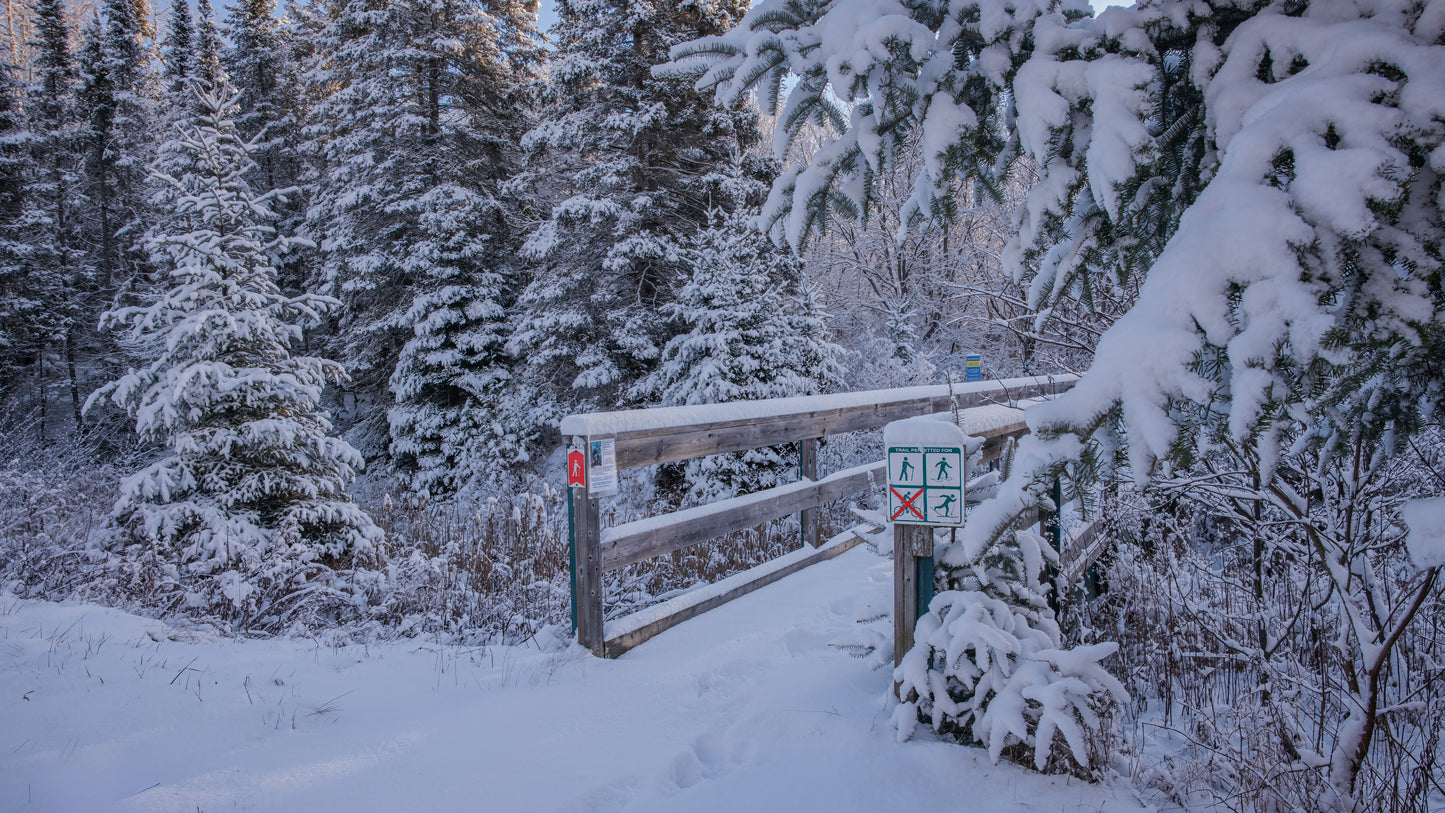 Canvas - The Winter Wonderland Sheriff's Creek 49