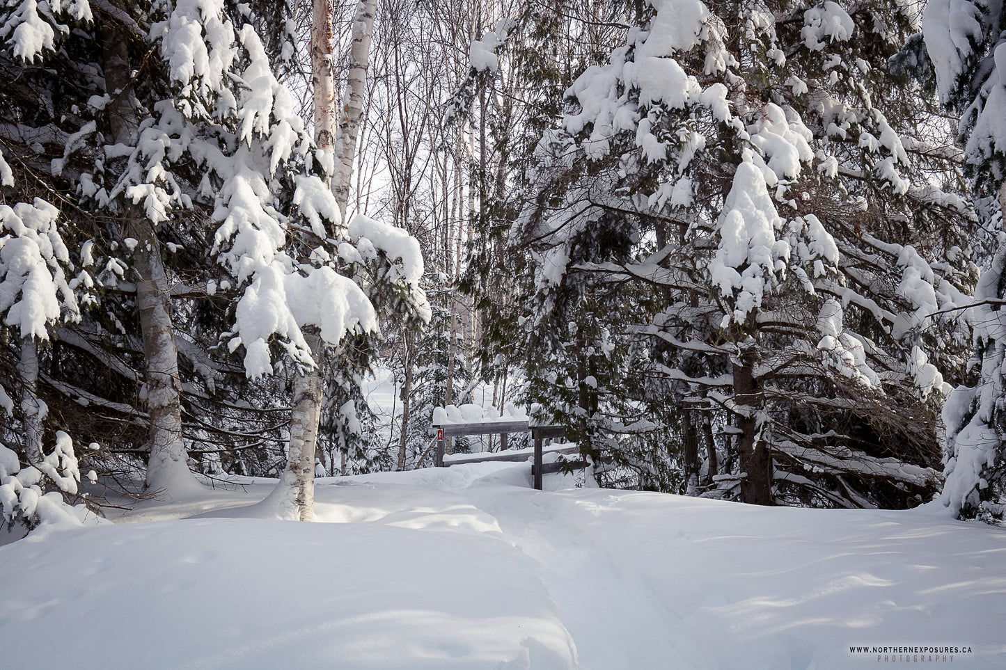 Canvas - The Winter Wonderland Sheriff's Creek 5