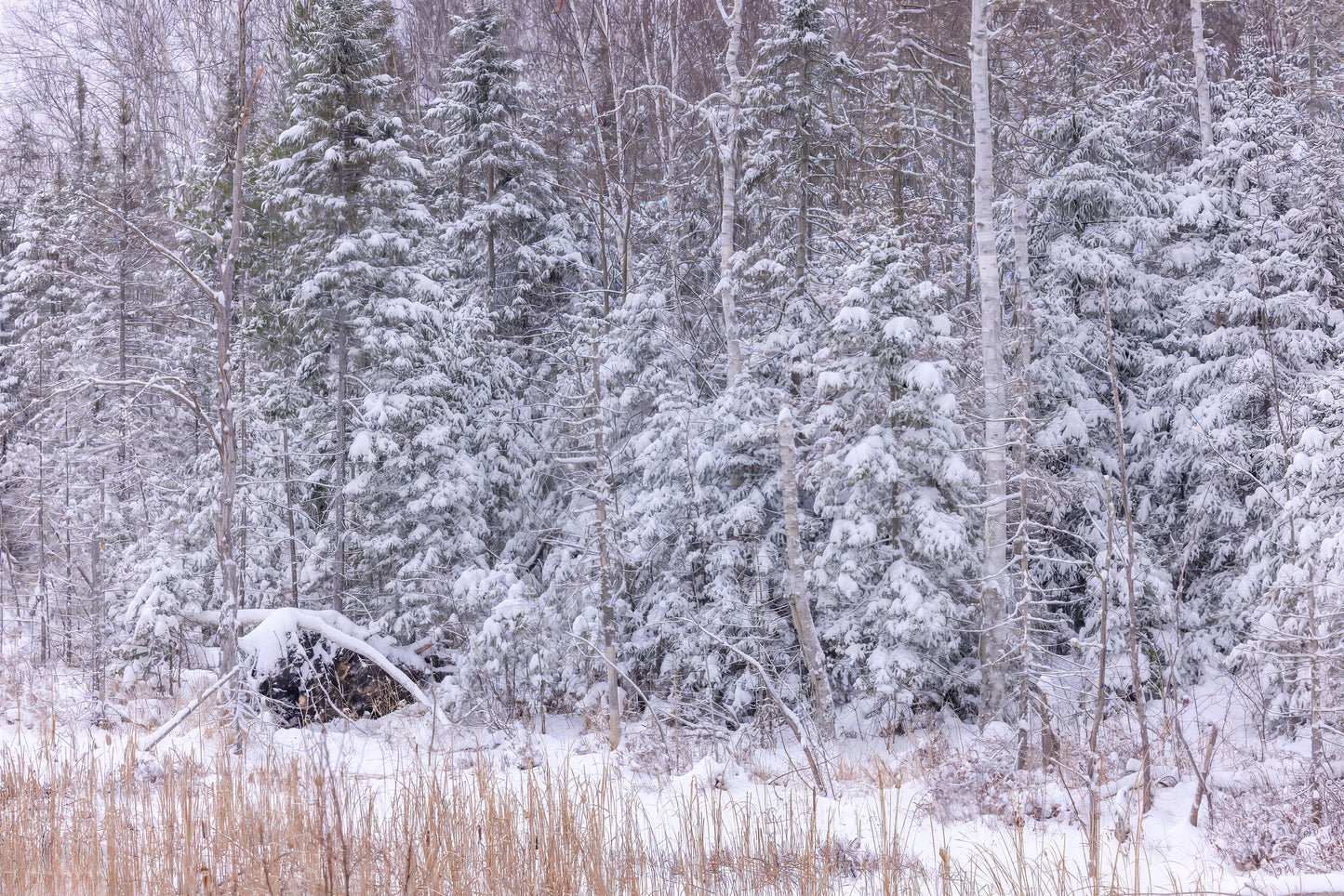 Canvas - The Winter Wonderland Sheriff's Creek 51