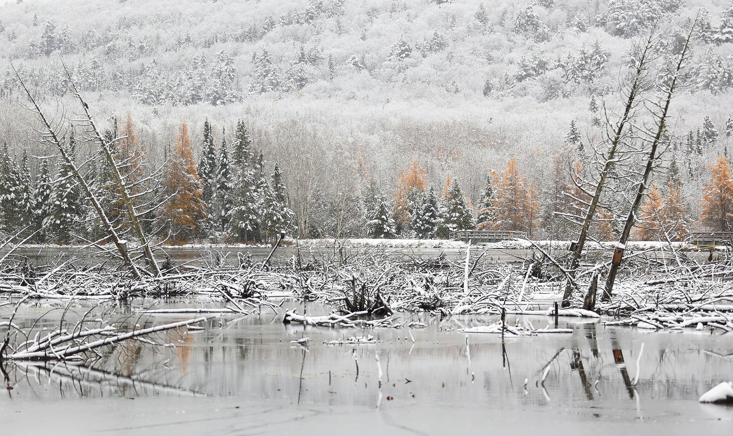 Canvas - The Winter Wonderland Sheriff's Creek 53