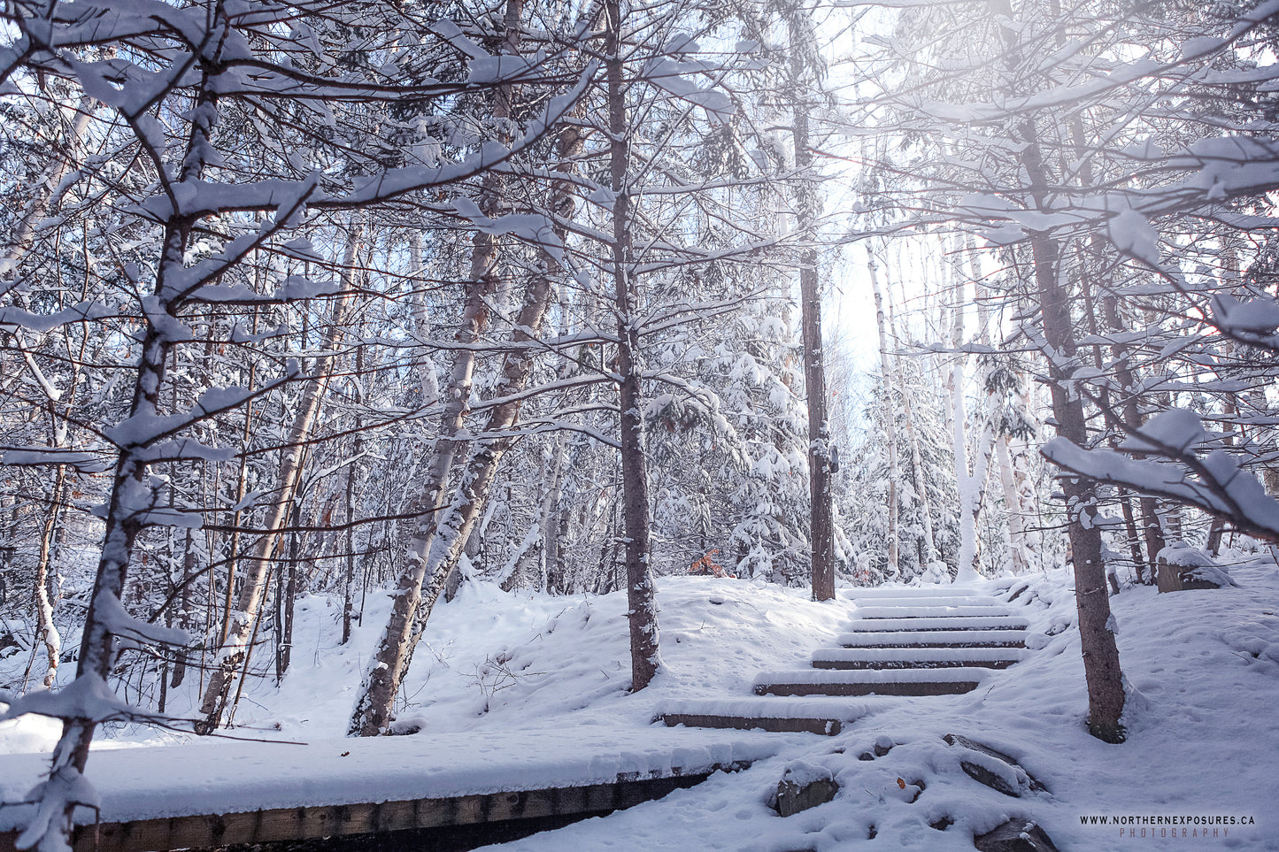 Canvas - The Winter Wonderland Sheriff's Creek 55