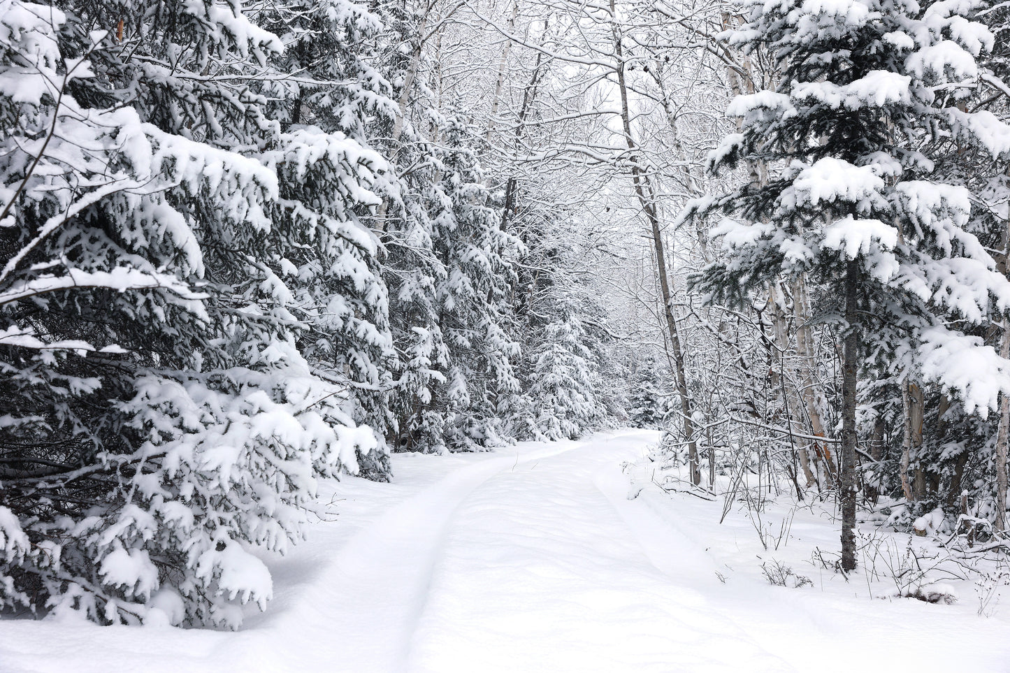 Canvas - The Winter Wonderland Sheriff's Creek 58