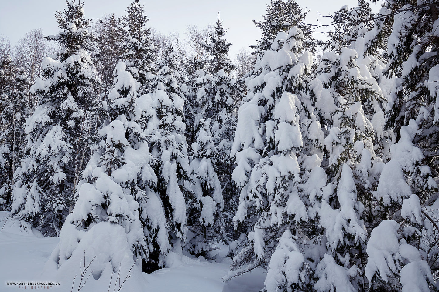 Canvas - The Winter Wonderland Sheriff's Creek 6