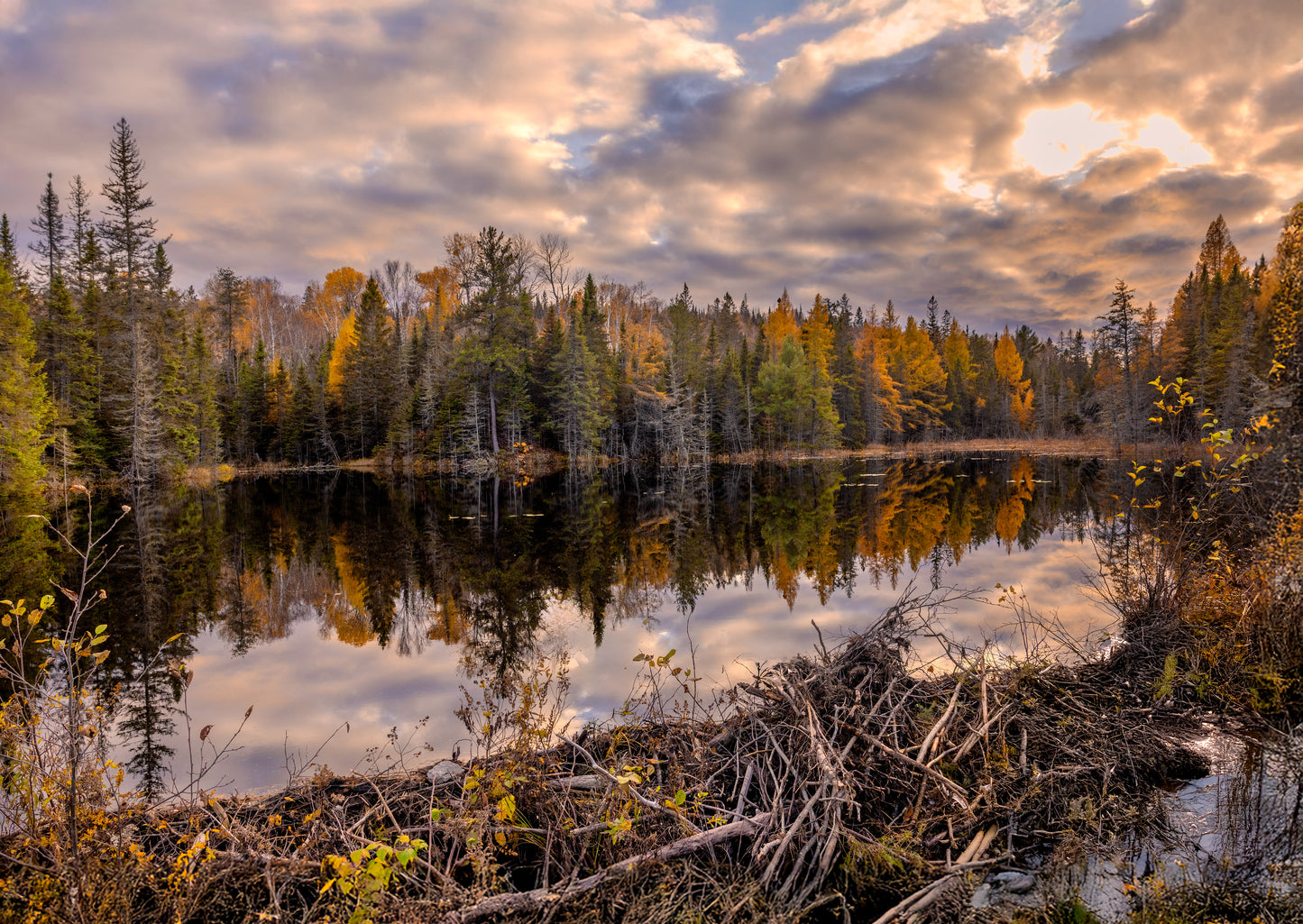 Canvas - Beaver Pond Reflections 1