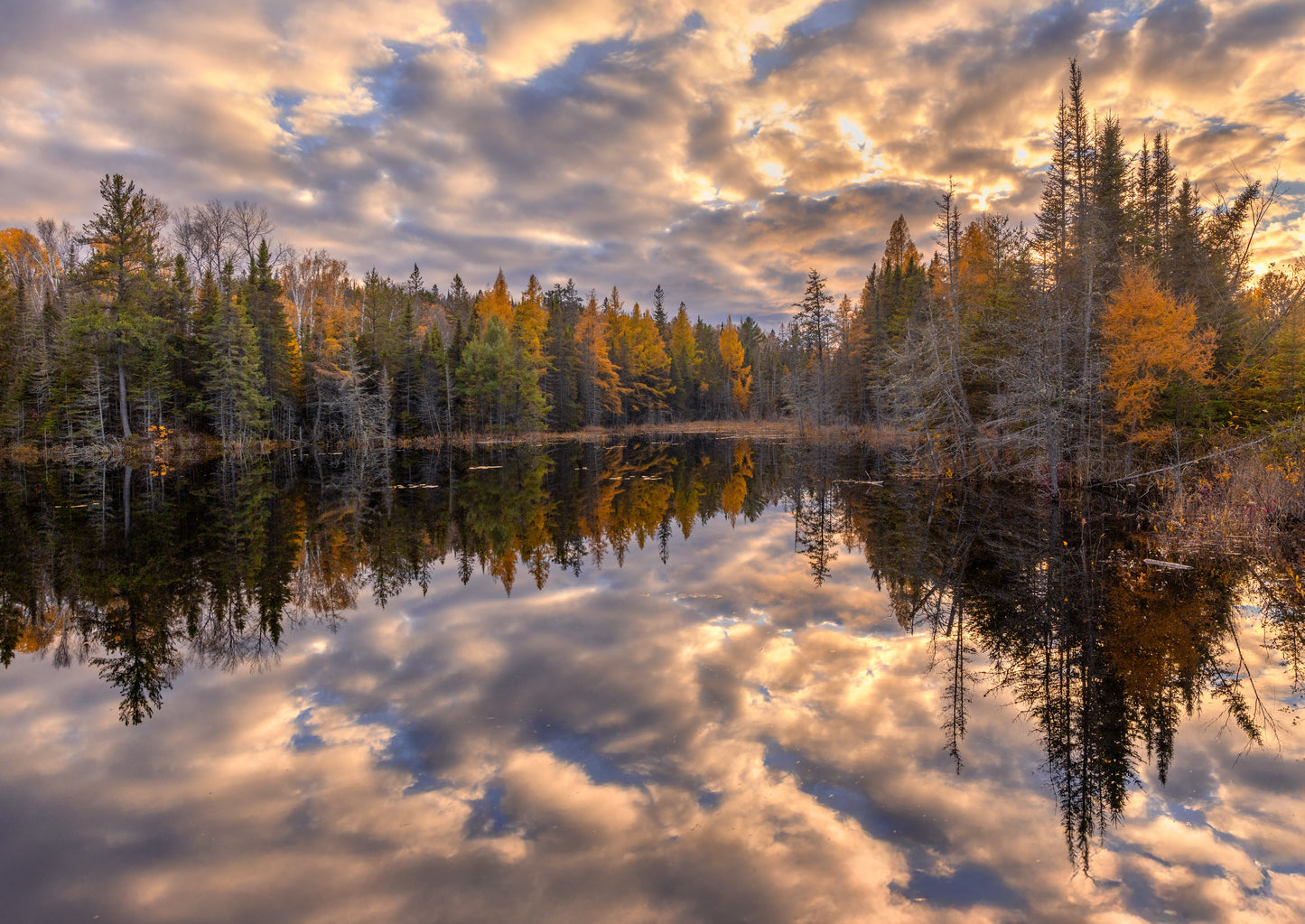 Canvas - Beaver Pond Reflections 2