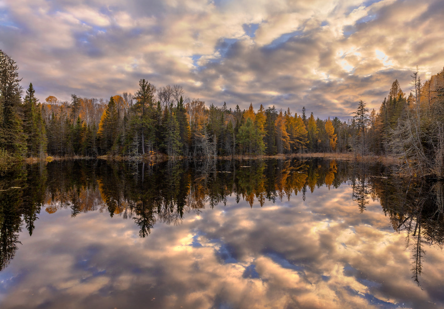 Canvas - Beaver Pond Reflections 3