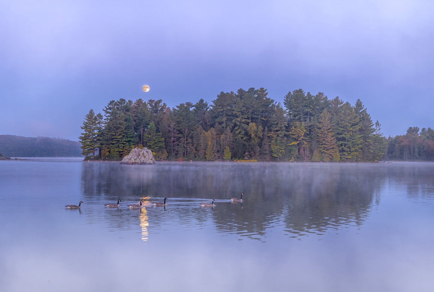 Canvas - Moonlit Geese at The Rock