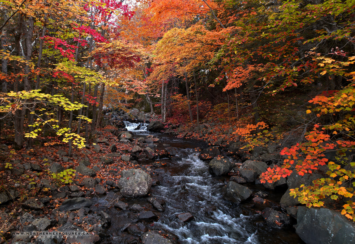 Canvas - Elliot Lake Waterfall 4