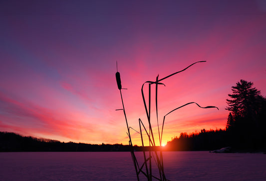 Canvas - Esten Lake Sunrise 2