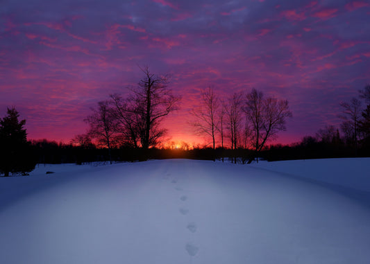 Canvas - Stoneridge Golf - Winter Sunrise