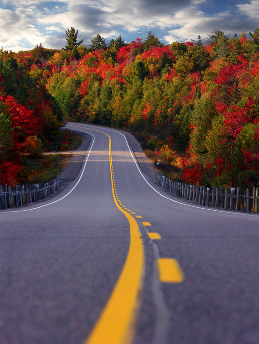 Canvas - Road - Fall Ride to Aubrey