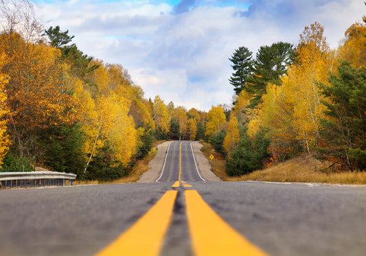 Canvas - Roads - Hwy 108 Yellow Autumn