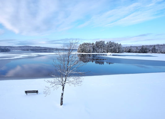 Canvas - The Rock - Winter Wonderland 2