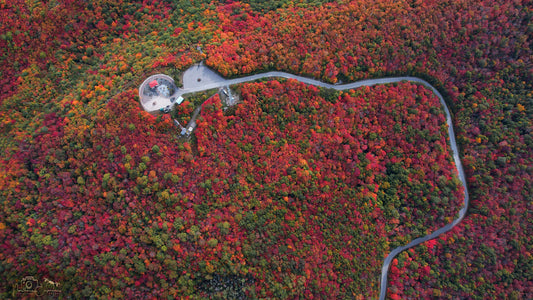 Canvas - Fire Tower Lookout 11