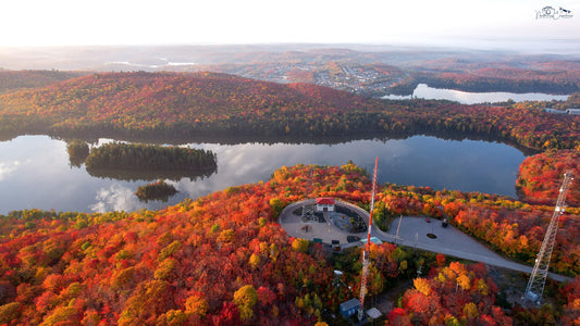 Canvas - Fire Tower Lookout 10