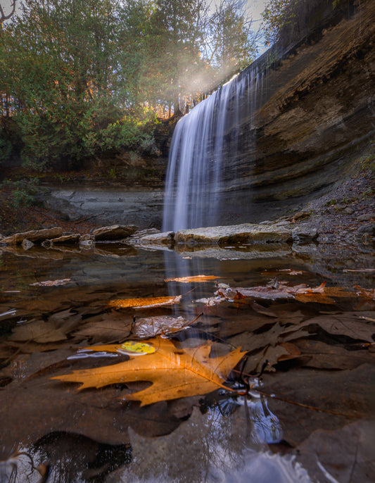 Canvas - Bridalveil Falls Autumn Portrait