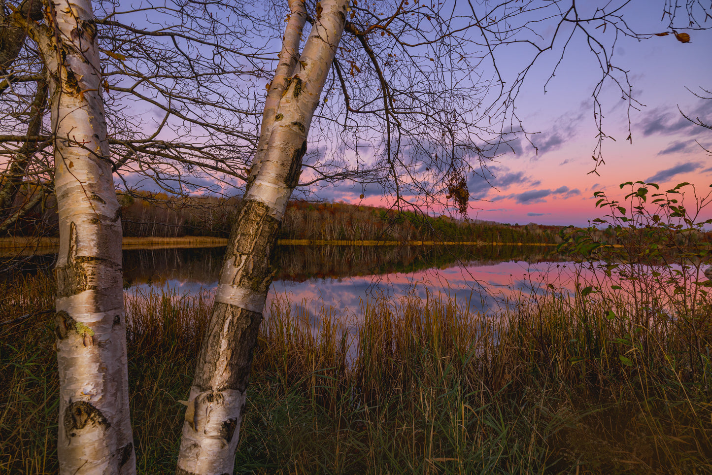 Canvas - Autumn Sun on Esten 4