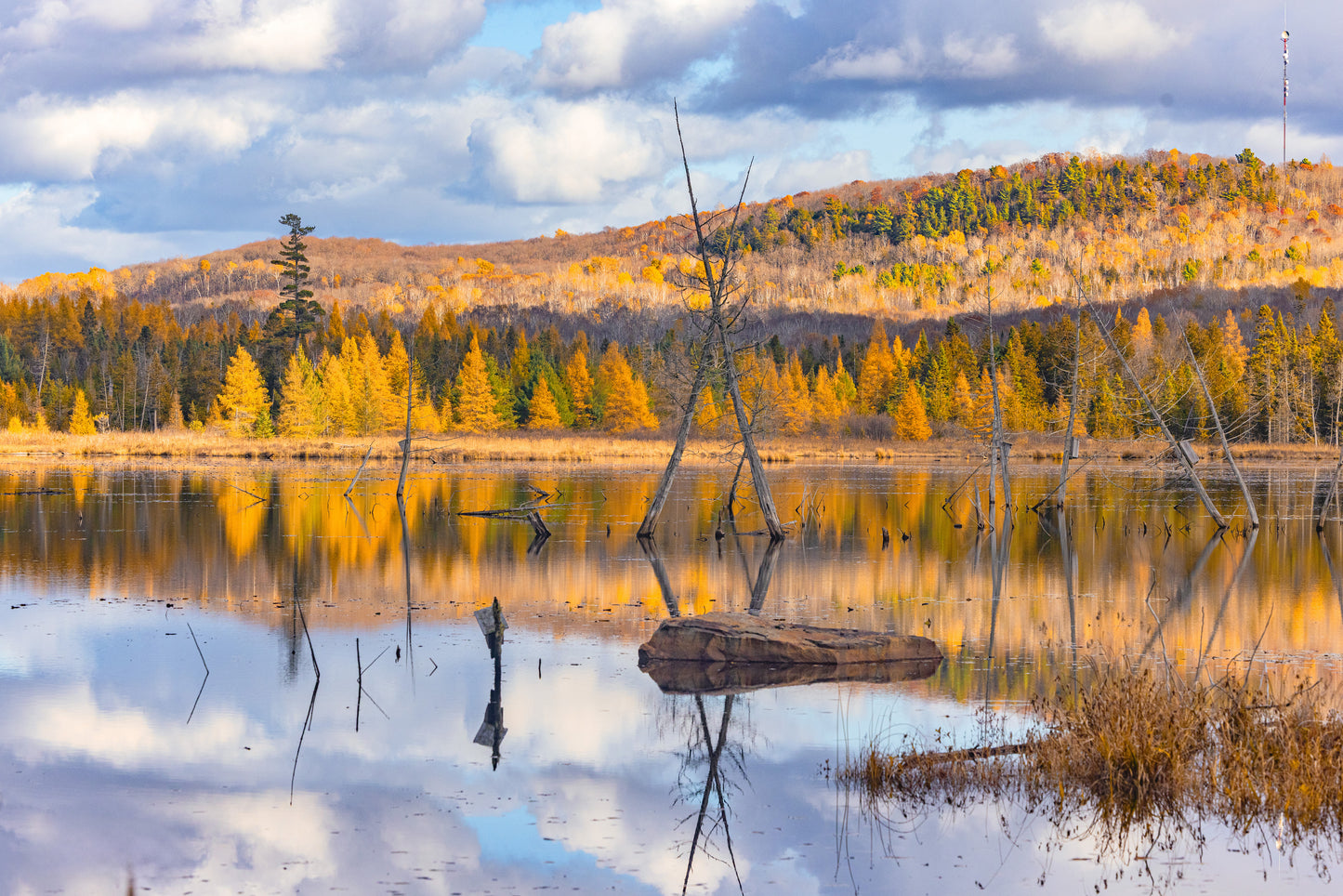 Canvas - Sheriff's Creek Yellows 3