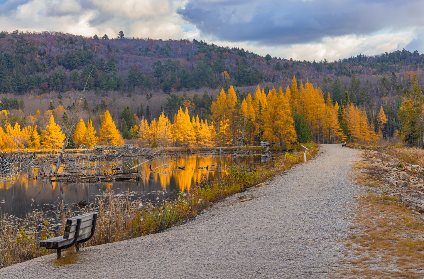 Canvas - Sheriff's Creek Yellows 5