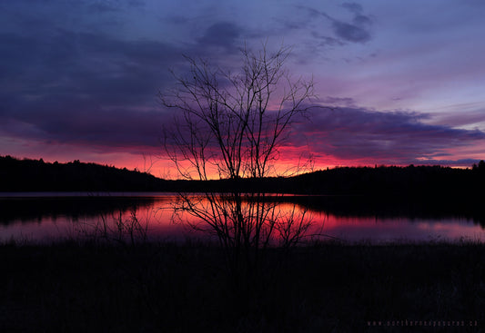 Canvas - Depot Lake 9