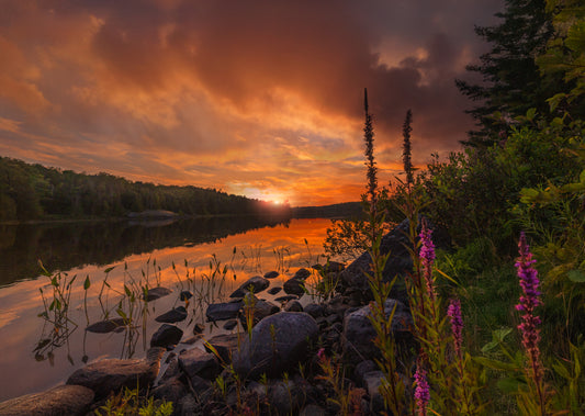 Canvas - Dramatic Depot Lake