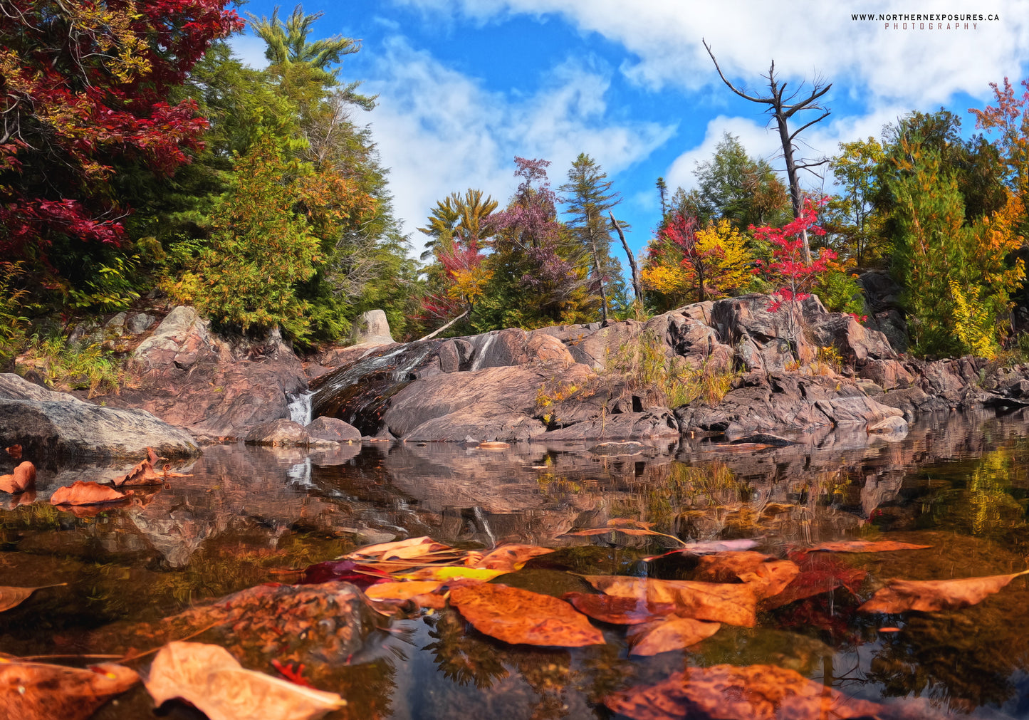 Canvas - Elliot Lake Waterfall 2