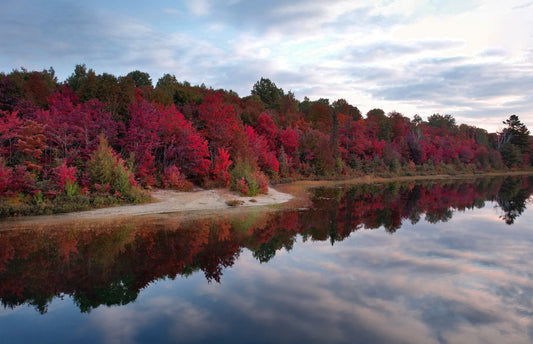 Canvas - Esten Boat Launch birch Red coast