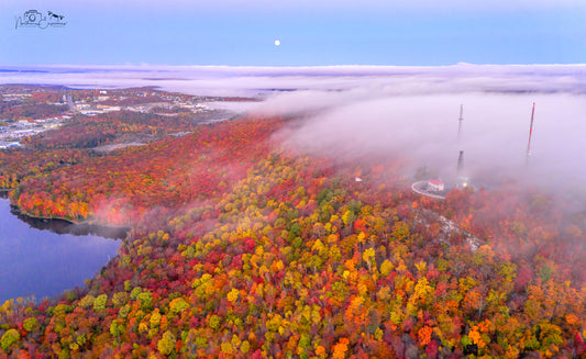 Canvas - Fire Tower Lookout 4