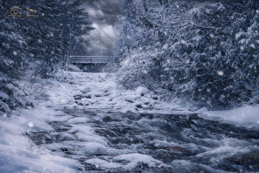 Canvas - Flack Falls Winter (Remastered)