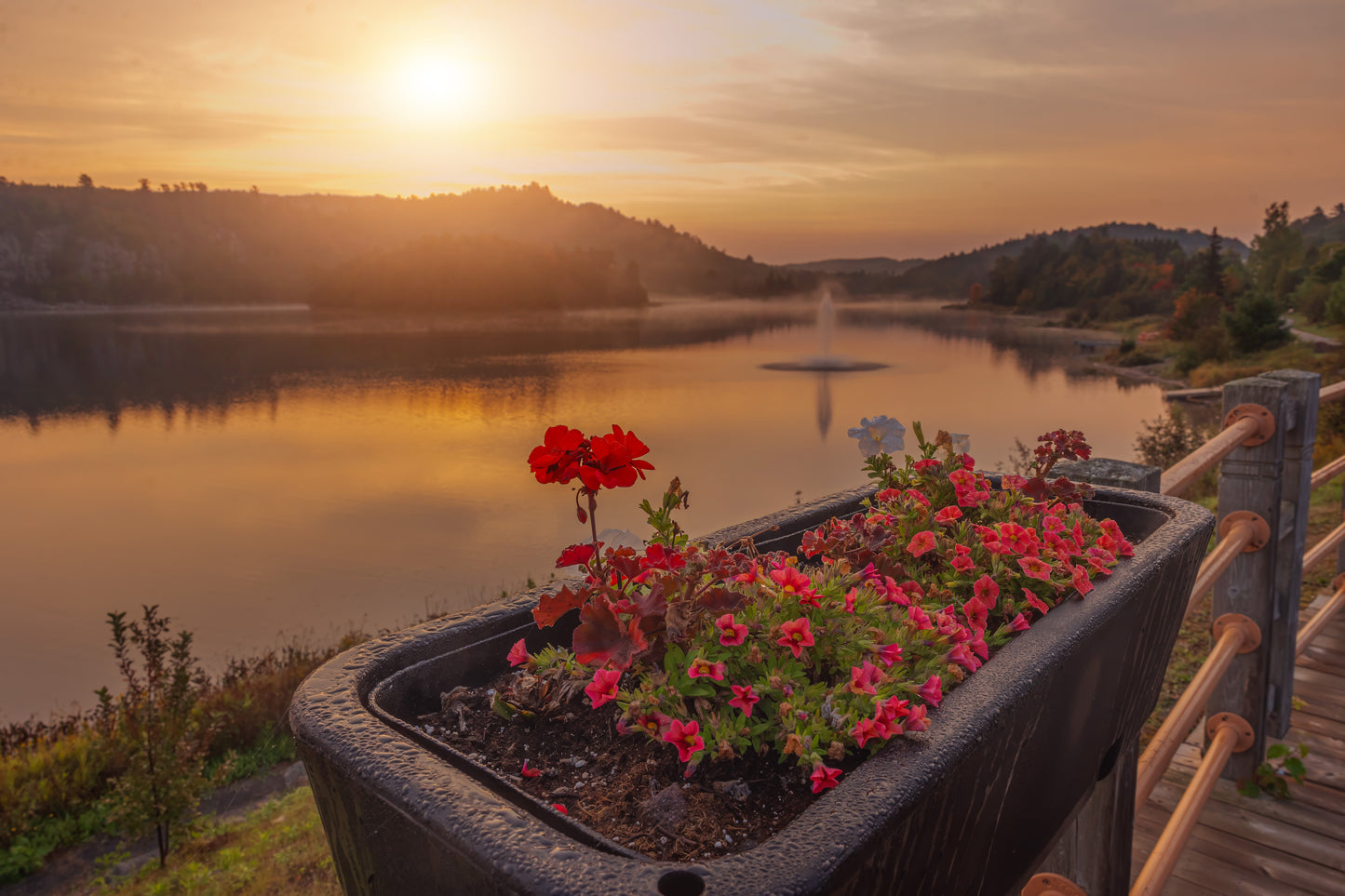 Canvas - Foggy Mornings at Horne