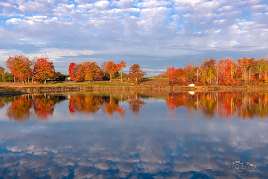 Canvas - Stoneridge Golf End of Season 1