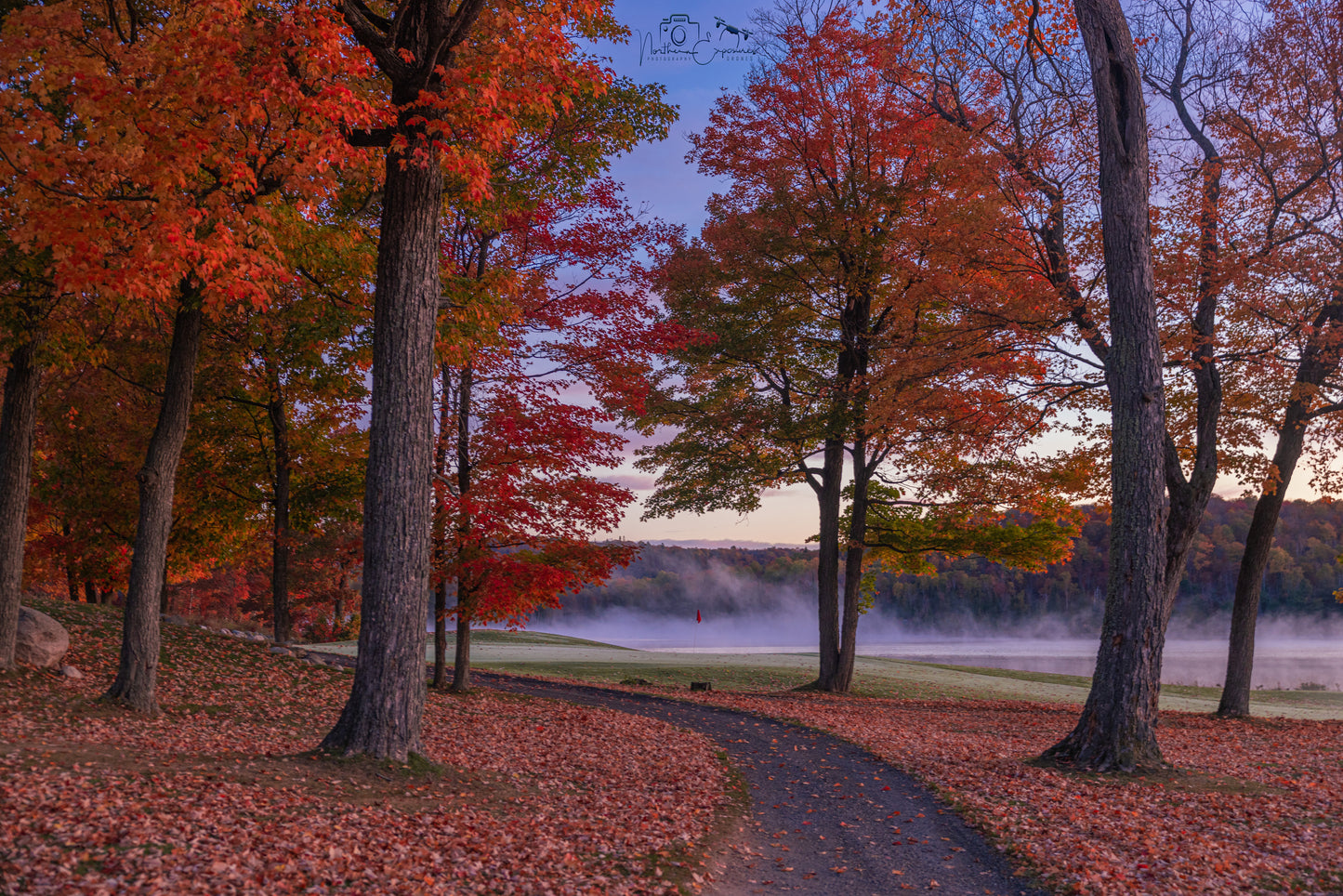 Canvas - Stoneridge Golf End of Season 4