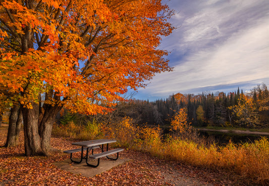 Canvas - Iron Bridge Picnic Area