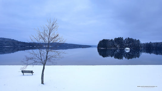 Canvas - The Rock - Spruce Beach 10