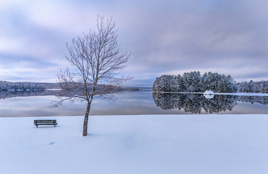 Canvas - Winter Wonderland Rock 19